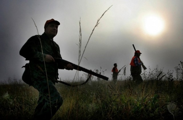 Директорът на Изпълнителната агенция по горите хвърля оставка
