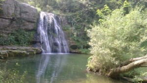 Райските кътчета край Габрово стават малки сметища когато цивилизован човек