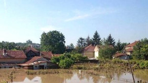 Четирима доброволци от Никопол се включиха в разчистването в Мизия