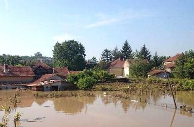 Четирима доброволци от Никопол се включиха в разчистването в Мизия