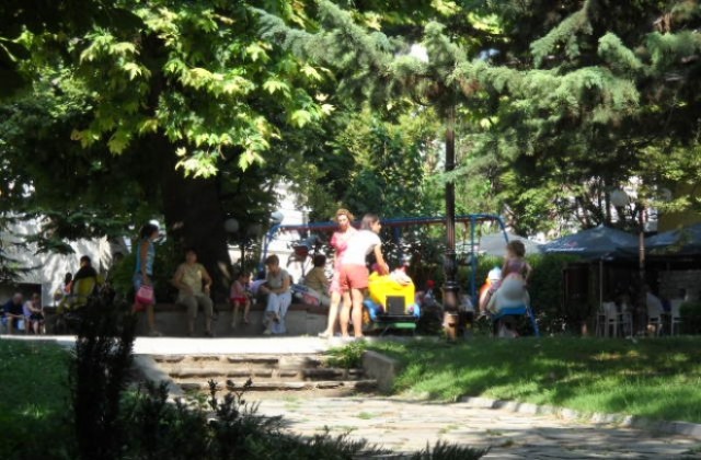 Изложба представя постиженията в озеленяването на Стара Загора