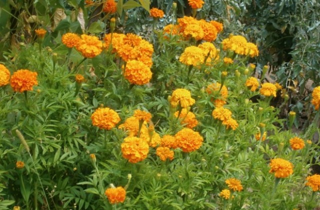 Захлаждане, облаци и приятни температури