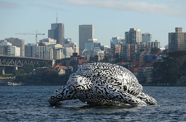 Огромна надуваема костенурка плува в пристанището на Сидни