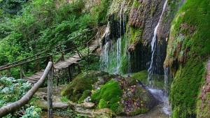 Времето на 18 август Предимно слънчево