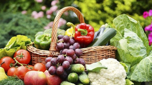 ЕК отпуска помощ на селскостопански производители пострадали от руското ембарго