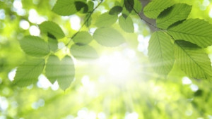 Слънце август е в разгара си