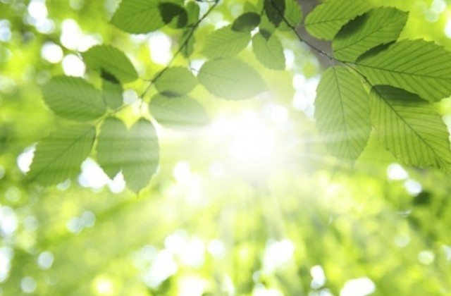 Слънце, август е в разгара си
