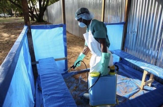 Източник на ебола са прилепи, консумирани в африкански села?