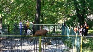 Изложба по повод 55 години от създаването на благоевградския зоопарк