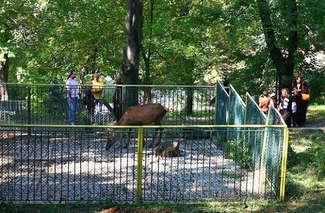 Изложба по повод 55 години от създаването на благоевградския зоопарк