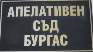 Eфективна присъда за убитото в катастрофа бебе Алекс