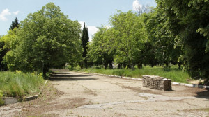 До две седмици може да започне изграждането на новия парк