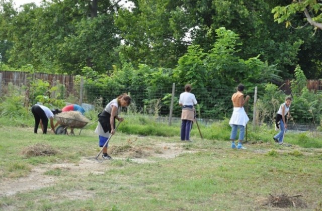 Видинският панаир отваря врати на 29 август
