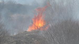 Три пожара за 24 часа