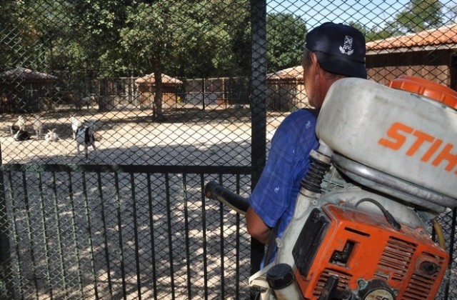 В хасковския зоопарк спешни мерки против син език