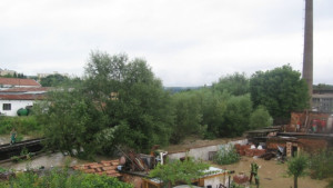 Кметът на Мизия вярва в помощта на държавата за да