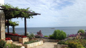 Времето на 29 август Предимно слънчево