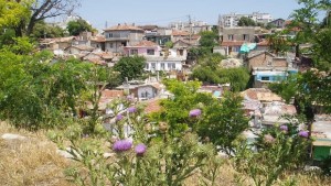 Цигански сватбен терор от Максуда и тази нощ не остави