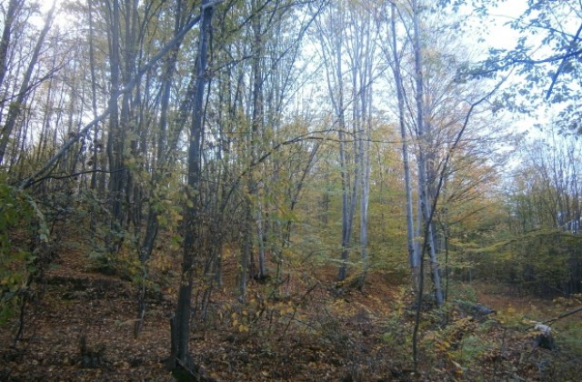 Хладен и дъждовен септември