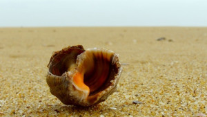 Последният ден на август слънчев и топъл