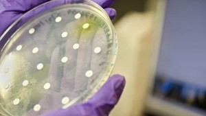 Ще откриват престъпници по уникалните за тях бактерии