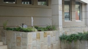 Облагородиха пространството пред Дома на науката и техниката във Враца