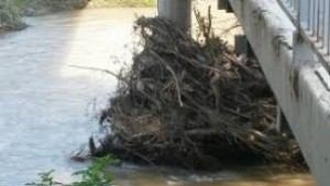 Провериха дигите и речните корита в Русенска област