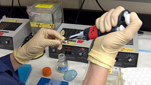 Учени получиха гориво с помощта на бактерии Е коли