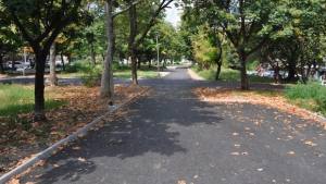 Камери в парка пред Краставицата
