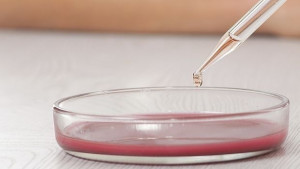 Руски учени създадоха биоизкуствен черен дроб