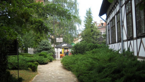 Община Враца отново раздава дръвчета и храсти за озеленяване