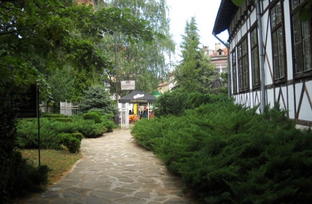 Община Враца отново раздава дръвчета и храсти за озеленяване