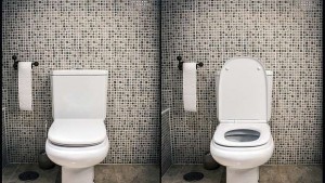 Конструираха тоалетна чиния която разсейва лошите миризми