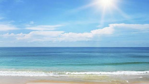 Над 10 спад в туризма виждат от бранша