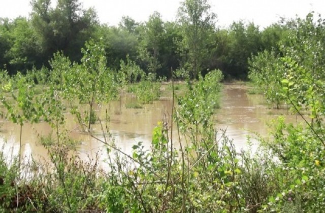 Комисии ще описват щетите от наводненията