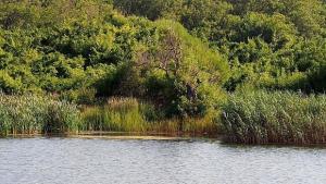 Водата в 5 села не съответства на изискванията