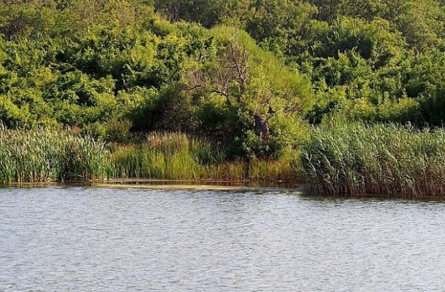 Водата в 5 села не съответства на изискванията