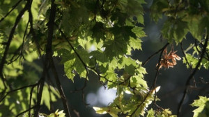 Времето на 9 септември