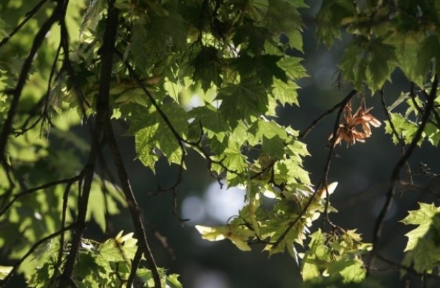 Времето на 9 септември