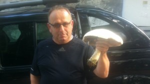 Снимка Гигантска печурка от 1 200 кг