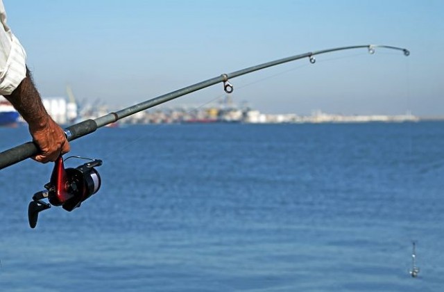 Датски рибар улови риба с тегло 488 кг