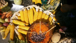 Празникът на плодородието в Кюстендил ще е на 2627 септември