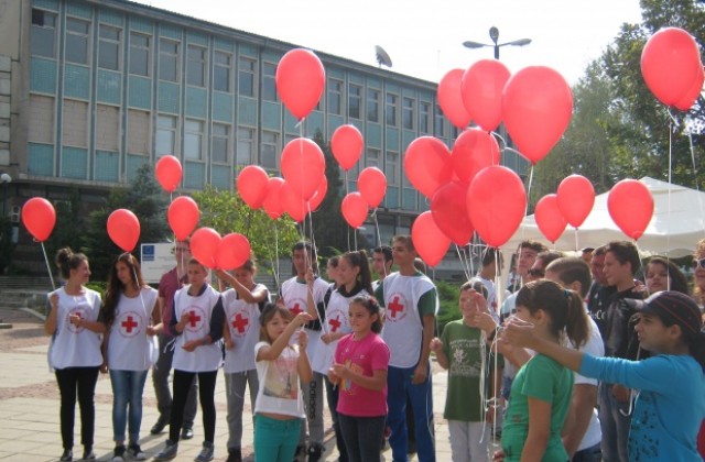 Кампания по приемна грижа започва в Кюстендилска област