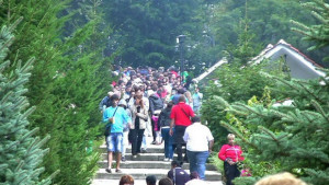 В очакване на чудото на Кръстова гора