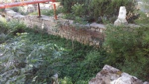 Разкопките на епископската базилика на Одесос тънат в бурени и