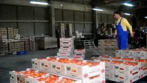 НАП пак откри нередовни търговци по пазари и тържища