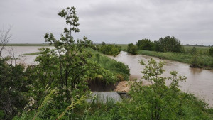 Комисия проверява критичните речни участъци във видинско