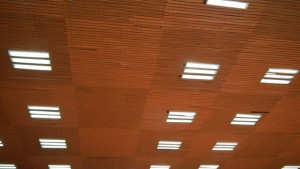 Поставиха обезопасяваща мрежа в спортна зала Дан Колов