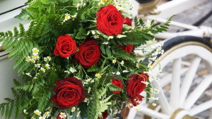 Ръст на браковете и разводите в областта