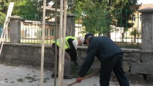 Засаждат 160 нови дървета в Севлиево